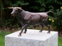 Bronzeskulptur Stehender Stier mit brauner Patina auf Säule 
