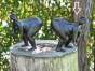 Zwei dicke Frauen als Bronzefiguren auf Baumstamm