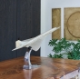 Concorde Modellflugzeug auf Schreibtisch