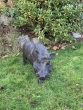 Laufendes Wildschwein - Keiler aus Bronze von vorne im Garten