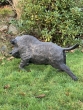 Keiler - Wildschwein aus Bronze von hinten im Garten