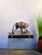 Bronzeskulptur Tiger stehend von hinten 