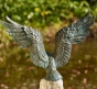 Gartenfigur Seeadler