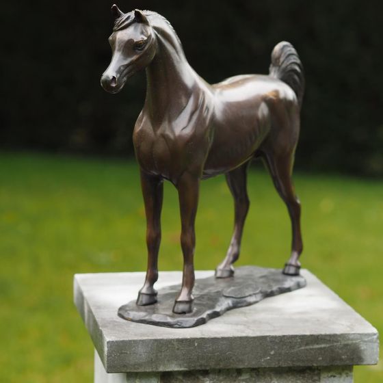 Bronzeskulptur Araber Pferd stehend auf Sockel 