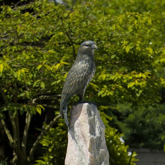 Bronze-Vogel Milan, Bussard von Rottenecker