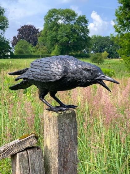 Bronzeskulptur Krähender Rabe mit einer schwarzen Patina auf einem Feld 