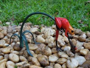 Bronzeskulptur "Roter Frosch mit Marienkäfer"