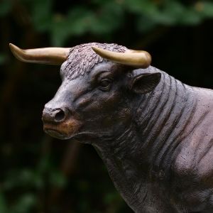 Bronzeskulptur Stier mit brauner Patina Foto vom Kopf 
