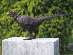 Bronzeskulptur "Neugieriger Fasan"