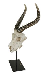 Authentic Models Dekoskulptur "Antelope Skull" 