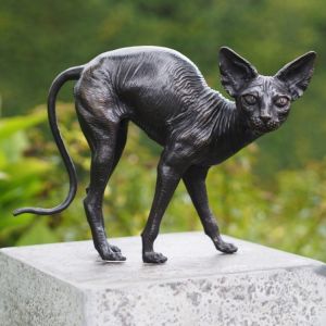 Bronzeskulptur "Buckelige Sphynx Katze"