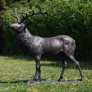 Bronzeskulptur "Prächtiger Hirsch" auf einer Wiese