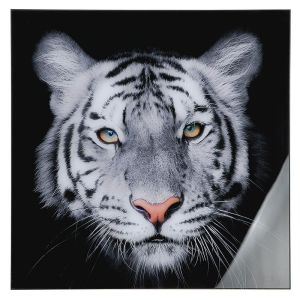 Wandbild "Tigerportrait" aus Acryl (mit Lichtreflex unten rechts)
