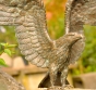 Seeadler aus bronze