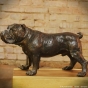 Bronzefigur Bulldogge