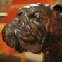 Bronzeskulptur Hund bulldogge