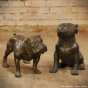 Bronzehunde Bulldoggen