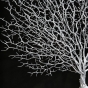 Wandobjekt "Lebensbaum"