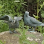 Tauben-Bronze-Taube von Rottenecker 