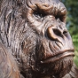 Gorilla Figur Detail Gesicht 