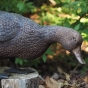 Bronzeskulptur Ente mit detail Foto vom Kopf