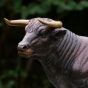 Bronzeskulptur Stier mit brauner Patina Foto vom Kopf 