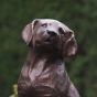 Bronzeskulptur Kopf vom Labrador Welpen