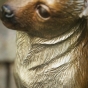 Bronzeskulptur Kopf und Hals von einem Chihuahua 