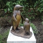 bronze pinguin mt jungtier