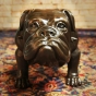 Bronzeskulptur Stehende Bulldogge Nahaufnahme vom Gesicht 