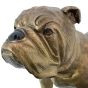 Bronzeskulptur "Hund - Englische Bulldogge", gold