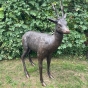 Bronzeskulptur "Stehender Rehbock" mit brauner Patina - Sonderedition