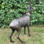 Bronzeskulptur "Stehender Rehbock" mit brauner Patina - Sonderedition