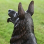 Bronzeskulptur "Schäferhund Rex"