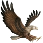 Bronzeskulptur "Seeadler auf der Jagd an den Klippen"