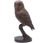 Bronzeskulptur "Sitzende Eule" auf Zweig