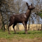 Bronzeskulptur "Stehende Hirschkuh"