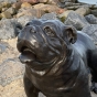 Nahansicht der Bronzeskulptur "Englische Bulldogge"
