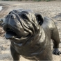 Nahansicht der Bronzeskulptur "Englische Bulldogge"