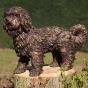 Bronzeskulptur "Hund - Labradoodle-Welpe