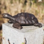 Bronzeskulptur "Neugierige Schildkröte" als Wasserspeier