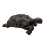 Bronzeskulptur "Neugierige Schildkröte" als Wasserspeier