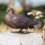 Bronzeskulptur "Kleine Taube