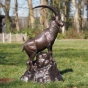Bronzeskulptur "Gebirgsgämse auf Felsen"