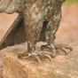 Adlerskulptur aus bronze