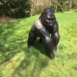 Bronzefigur Gorilla im Garten