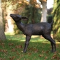bronzefigur reh_kitz