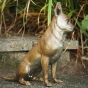 Bronzeskulptur Sitzender Chihuahua von der Seite