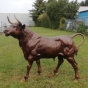 Bronzeskulptur "Stehender Stier" mit einer braunen Patina