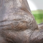 Bronzeskulptur "Springendes Pferd"